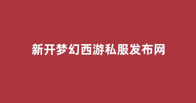 梦幻西游新区