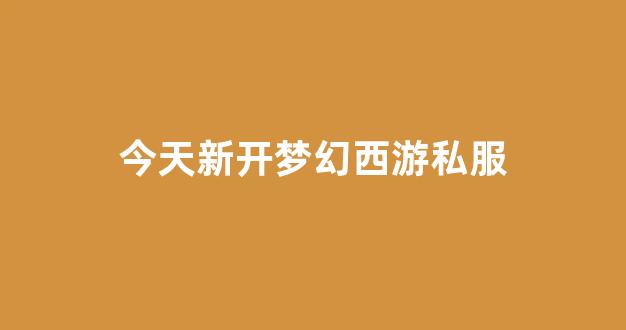 梦幻西游私网